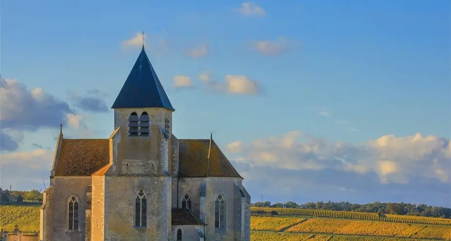 \"Autumnus. I frutti della Terra\": focus sulla Borgogna e i suoi mitici vini