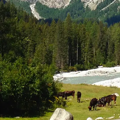 Agroecologia, dialogare con la natura invece di forzarla