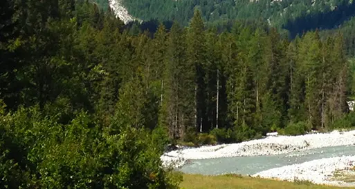 Agroecologia, dialogare con la natura invece di forzarla