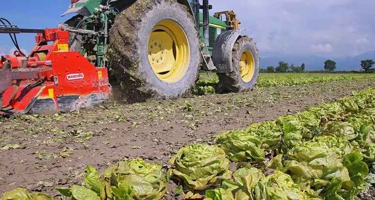 Provincia, stanziati fondi per progetti di giovani agricoltori: possibili 88 domande