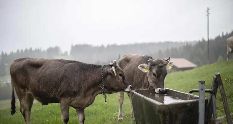 Aiuti per 5.500 aziende agricole: stanziati 12 milioni di euro, calano le richieste in Trentino
