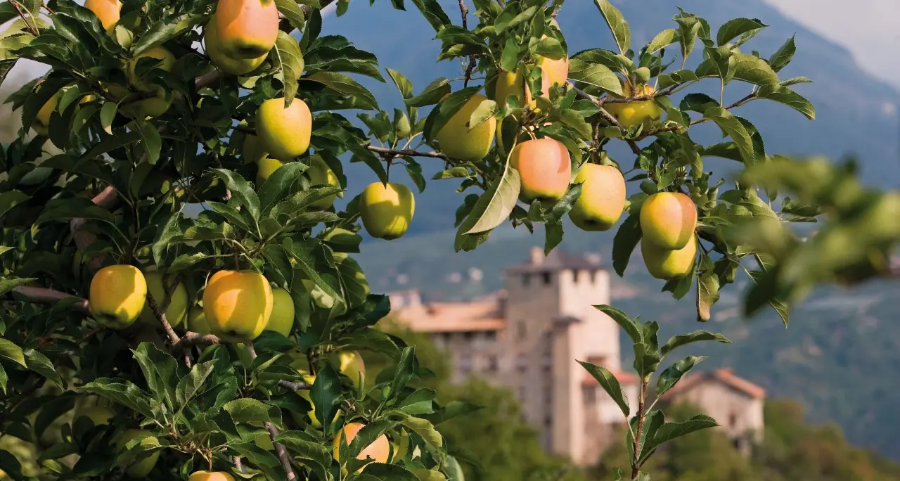 Ritorna Pomaria in versione “on the road”, fino al 17 ottobre in val di Non, con tante iniziative dedicate al gusto