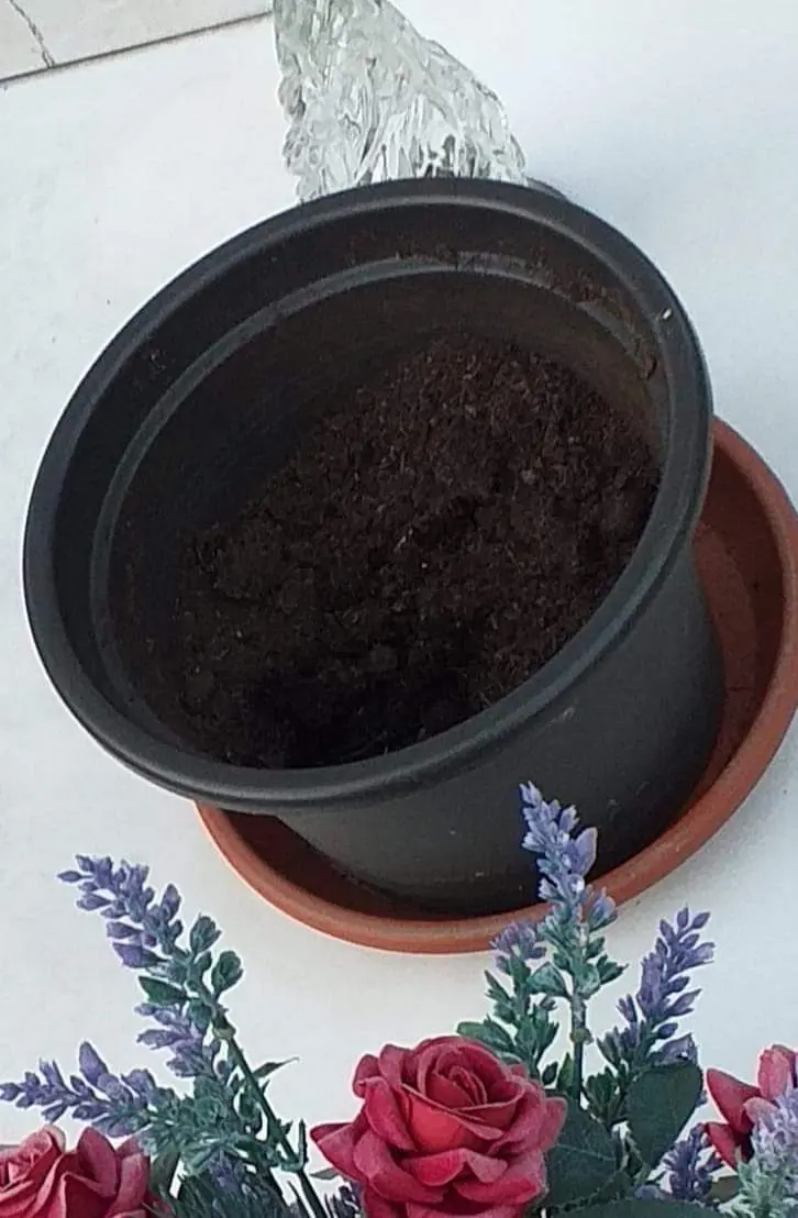 Rubano i fiori dalla tomba della sorella, lo sfogo di un roveretano