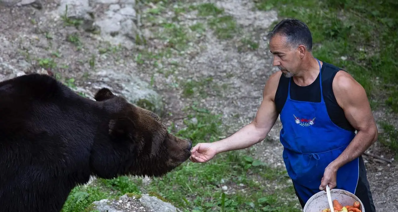 Riconosciuto il corpo ritrovato nel lago di Santa Giustina: è Fausto Iob, il custode dell’orso di San Romedio