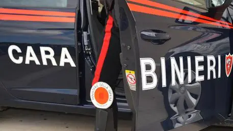 da Cc Siena