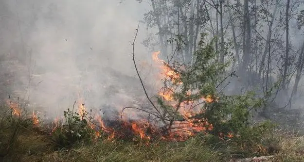 “Stress test” antincendio nei boschi del Cermis con 600 operatori