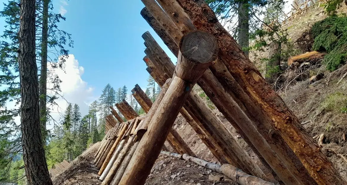 Pampeago: il legno di Vaia come barriera di protezione contro le valanghe