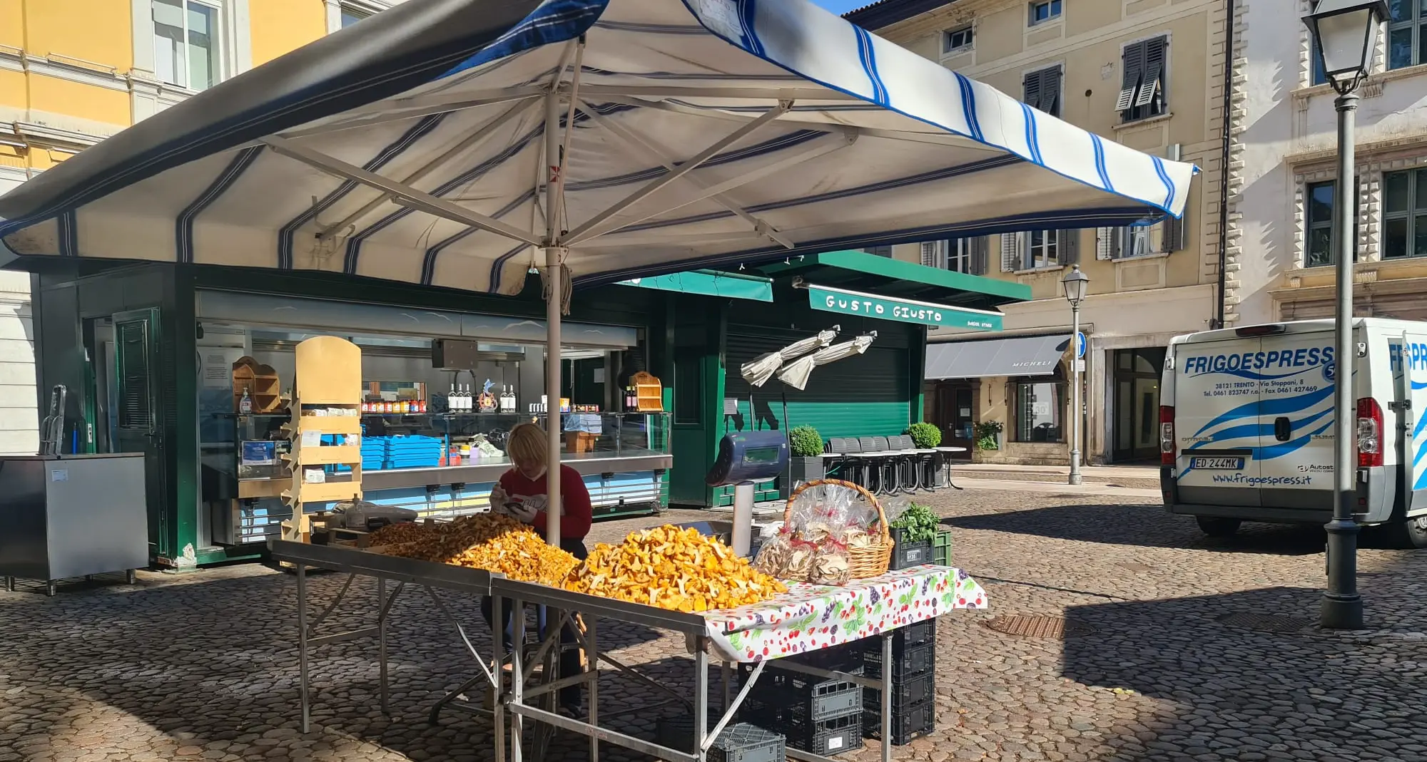 Occhio ai funghi velenosi: in piazza Vittoria a Trento torna il servizio micologico del Gruppo Bresadola