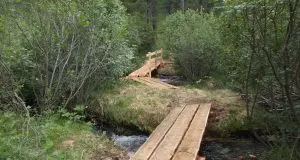 Meno auto e nuove assunzioni al Parco Adamello Brenta