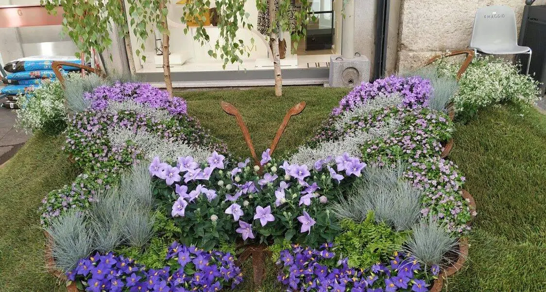 Torna “Fiori al centro” per riflettere sul cambiamento climatico: si cercano i curatori di sei aiuole