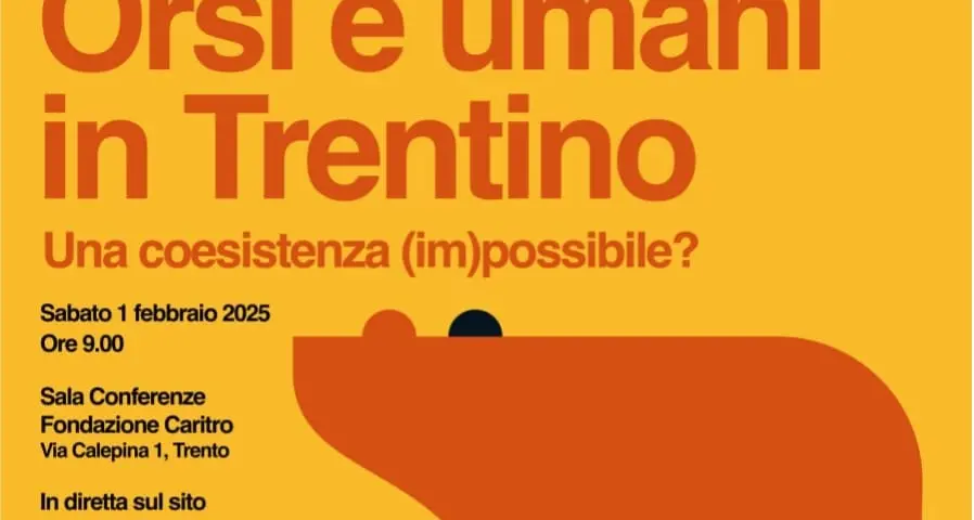 Il “conflitto” fra uomo e orso: una conferenza analizza le possibili soluzioni