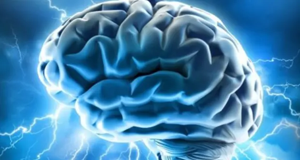 Nel cervello c’è una “bussola” per navigare fra i pensieri
