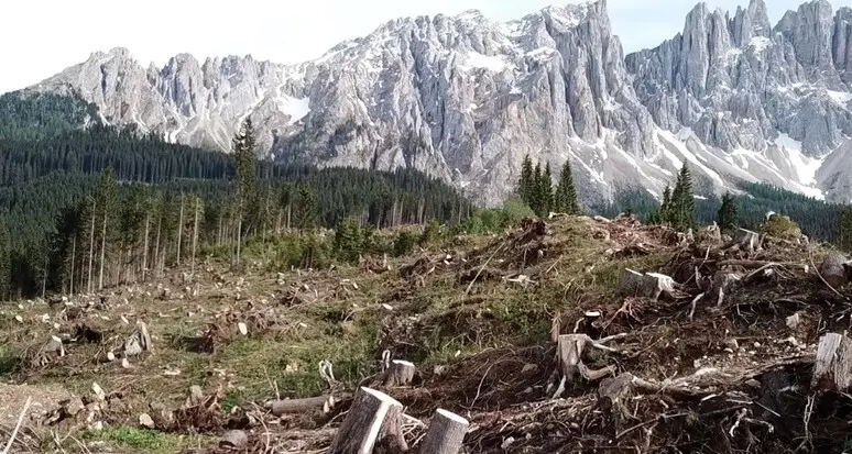 Vaia, dopo 5 anni parte il progetto europeo per gestire gli eventi estremi