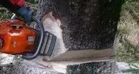 Boscaiolo 18enne si ferisce con la motosega in val Campelle
