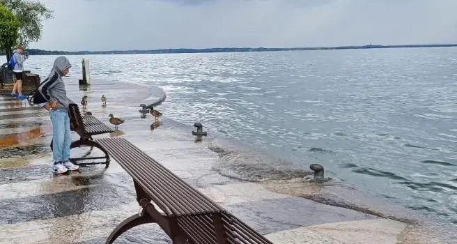 Continua a piovere il lago di Garda si alza: livello idrometrico da record