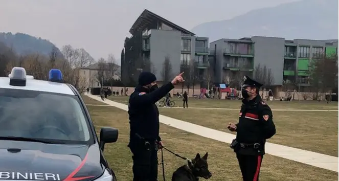 Spaccio e furti in centro a Trento, vasta operazione dei carabinieri