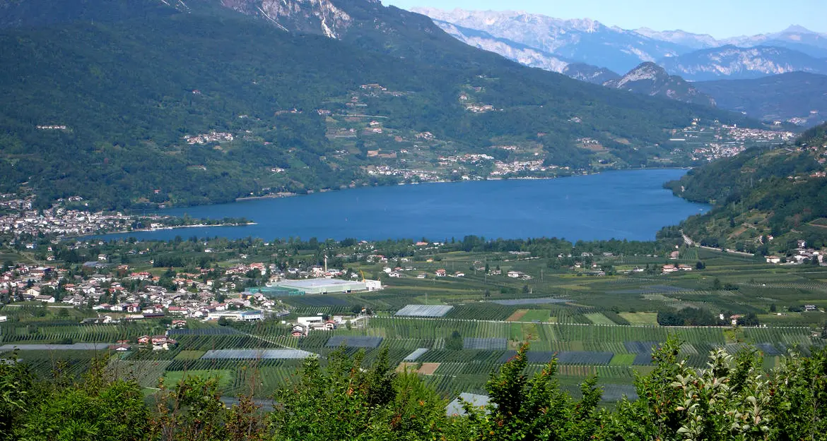 Lago di Caldonazzo, le analisi di Appa: «Non ci sono tossine nell'acqua»