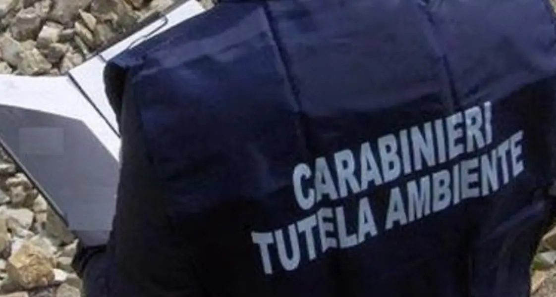 Inquinamento dell’Adige e del rio Coste: sequestrati pozzi e campionatori