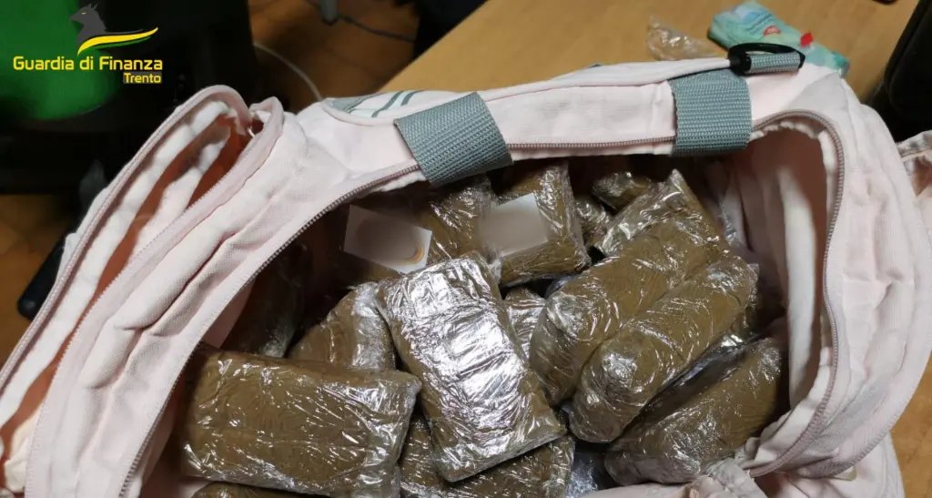 #continuoaspacciare: un giro da 21 chili di droga a Trento con la vendita porta a porta (anche in lockdown)