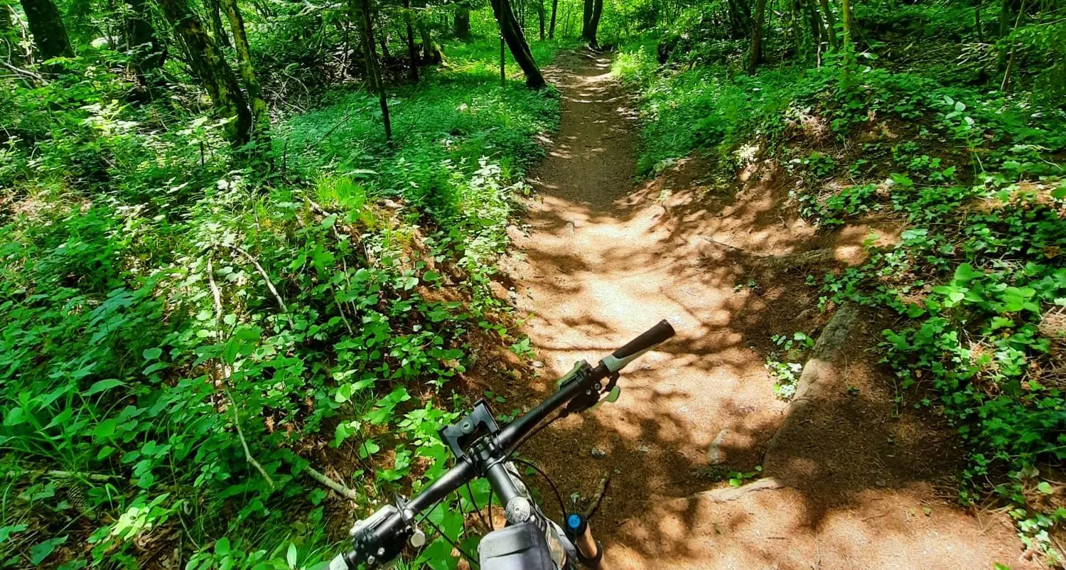 A Terlago biker rivano cade dalla bici e rovina a terra: per lui una brutta ferita alla testa