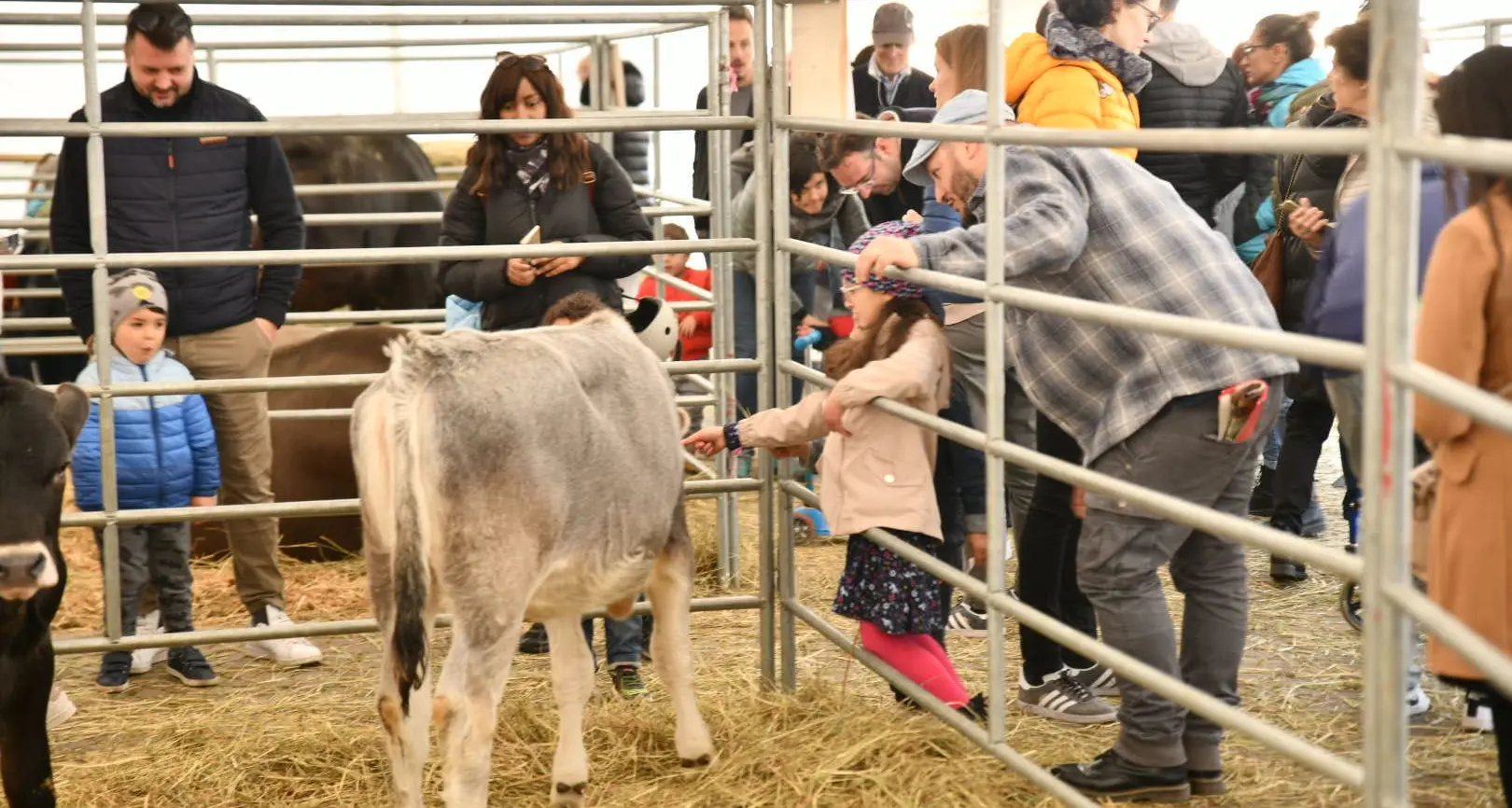 Mostra dell’Agricoltura di Trento al via con 80 espositori e tante attrazioni per adulti e bambini