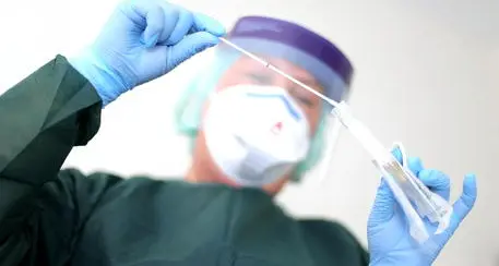 Caso tamponi falsi, medici di base trentini all’attacco: “A noi arrivano con il contagocce e così fiorisce il mercato privato”