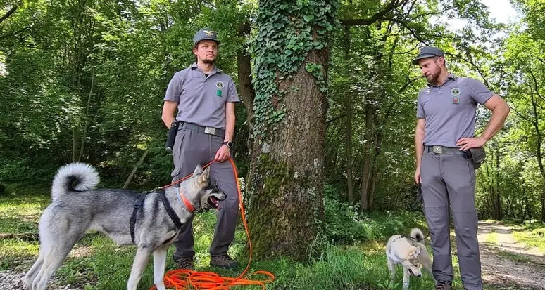 La cinofila trentina ha due nuovi cani anti-orso: Freja, un Jamthund svedese, e Scar, un Laika dalla Siberia