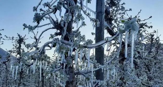 In Trentino una delle primavere più fredde degli ultimi vent’anni