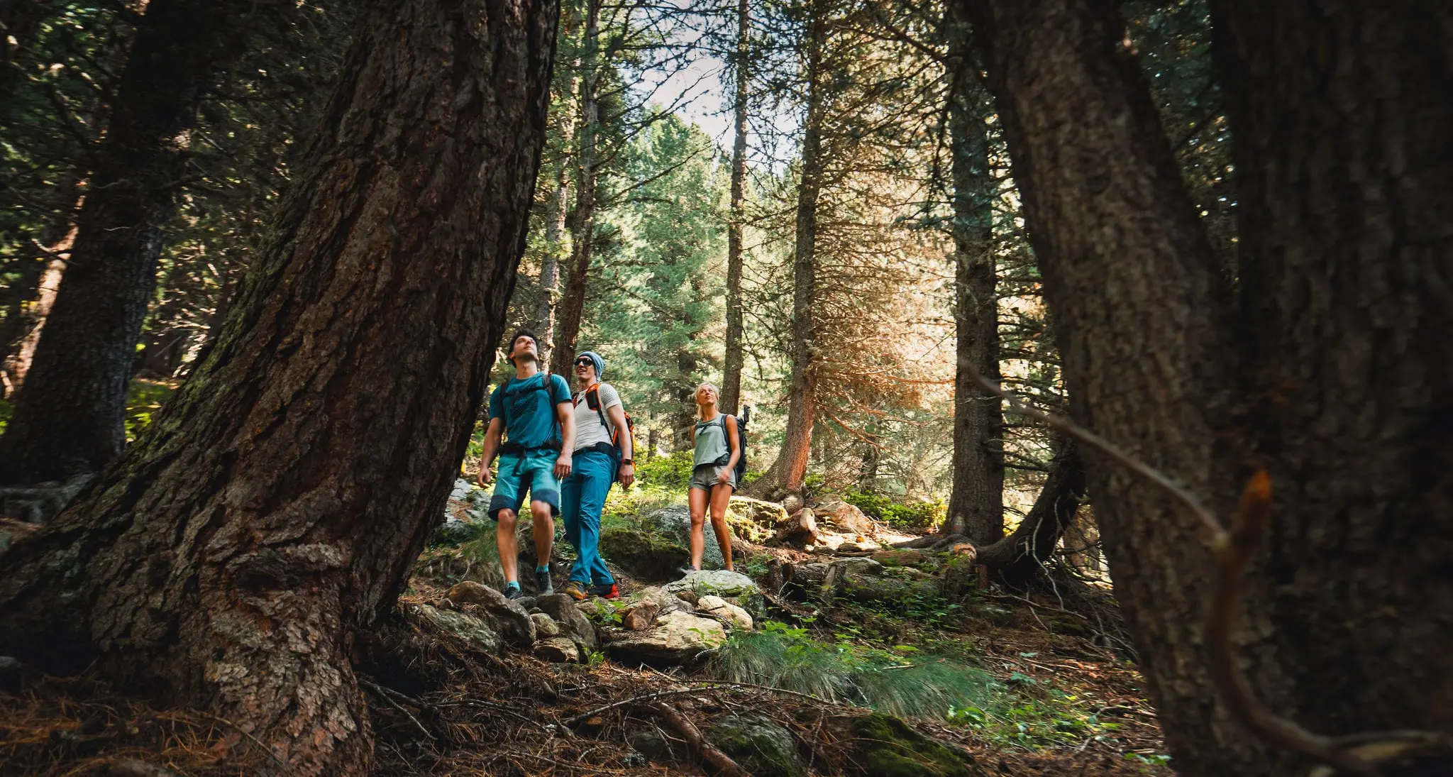 Val di Sole, l’estate è “Wow”: esperienze immersive tra natura, cultura e sostenibilità
