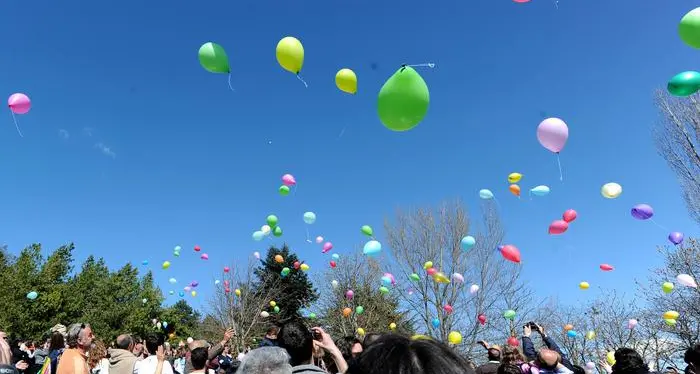“Stop ai palloncini nell'aria per feste ed eventi in Trentino: inquinano”