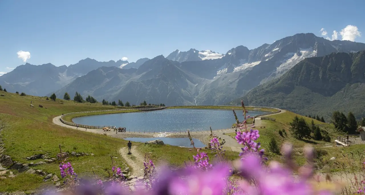 Al Tonale arriva Water Music Festival: concerti e spettacoli sui laghi di montagna e favole proiettate su schermi d'acqua