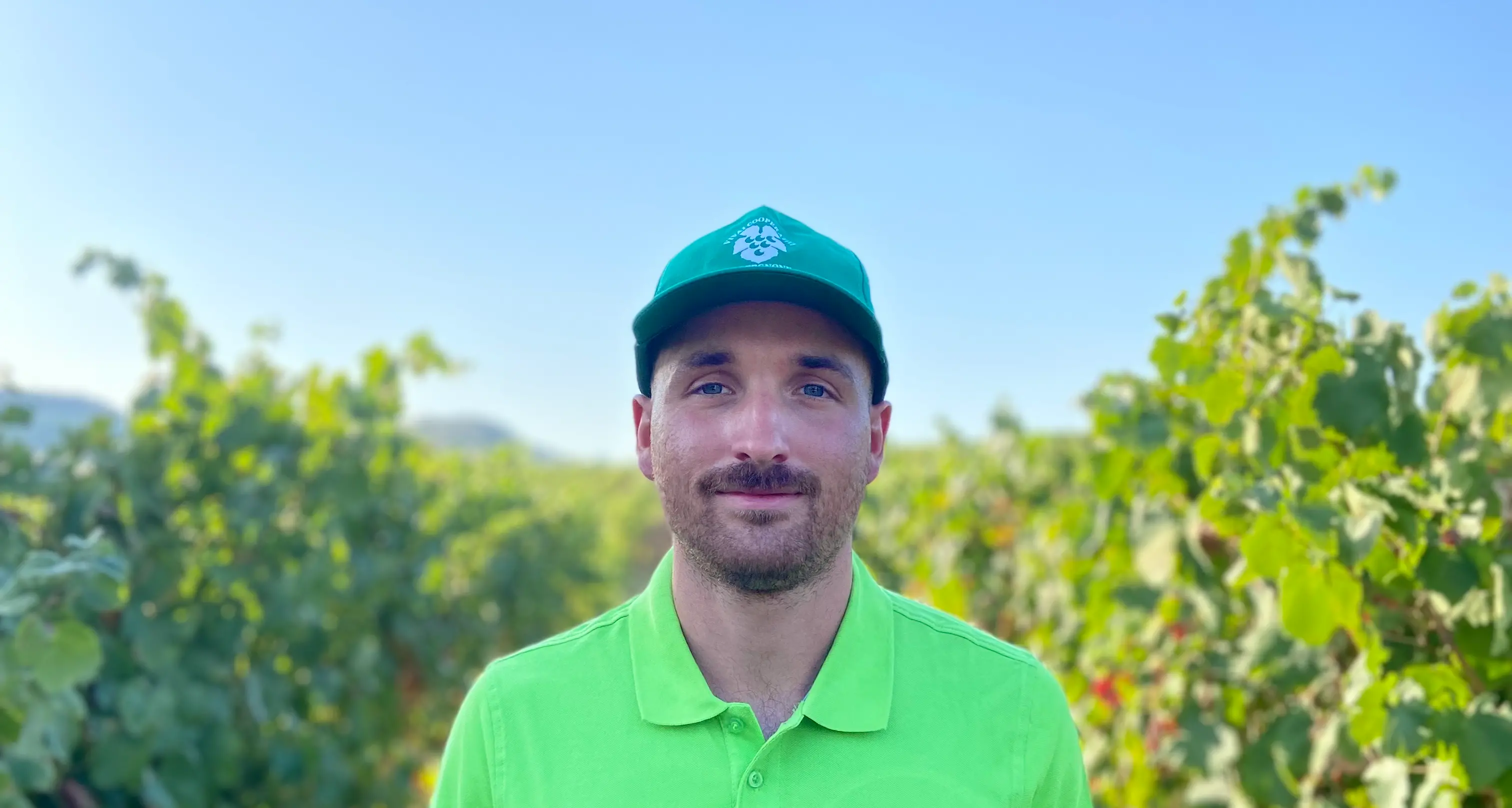 Andrea Morelli, vita da enologo-globetrotter tra innesti e consulenze