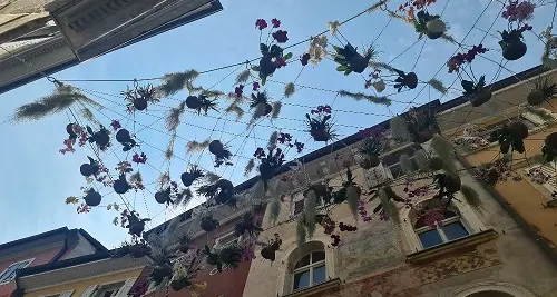 Trento, “Fiori in centro” con le aiuole anche aeree