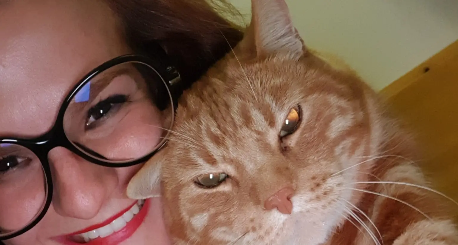 Sara Pedri oggi compirebbe 33 anni: per lei apre una cassetta della posta nel parco
