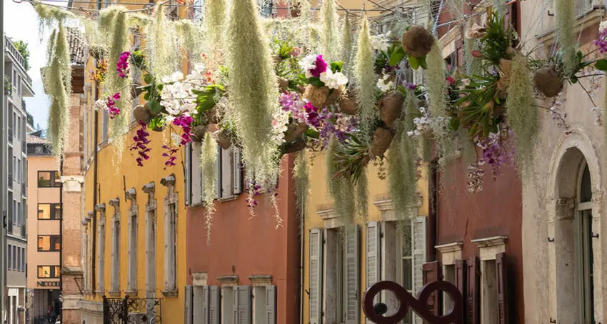 Il centro storico di Trento torna a riempirsi di fiori e colori