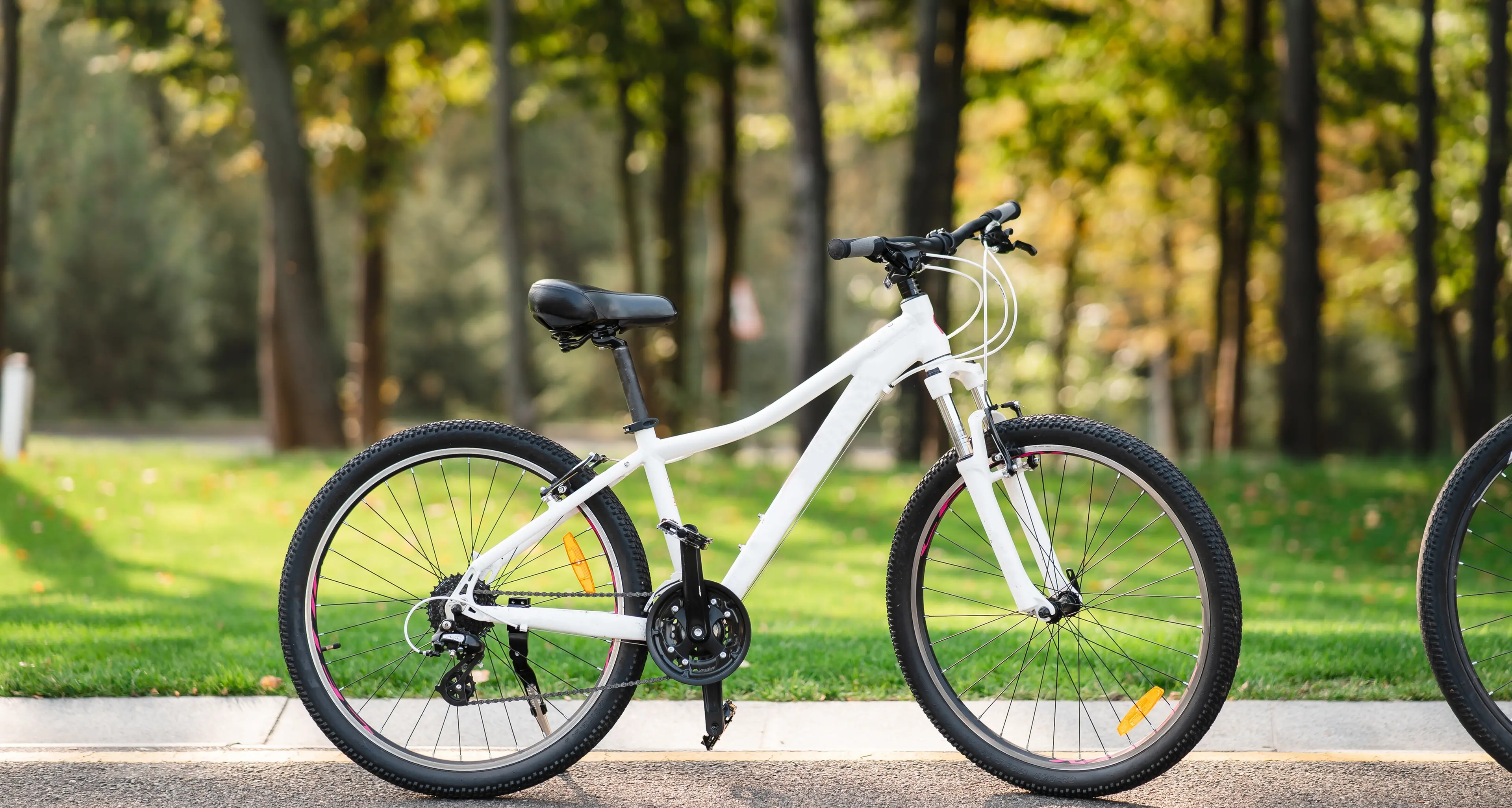 Bici rubate, in Val di Sole scatta una denuncia per ricettazione