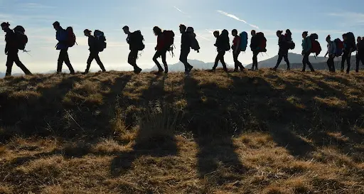 Scout si perdono in boschi salvati da pompieri