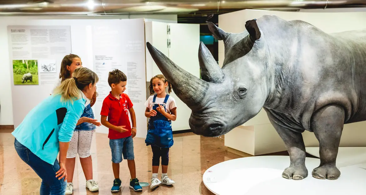 Tornano i musei gratis ogni prima domenica del mese