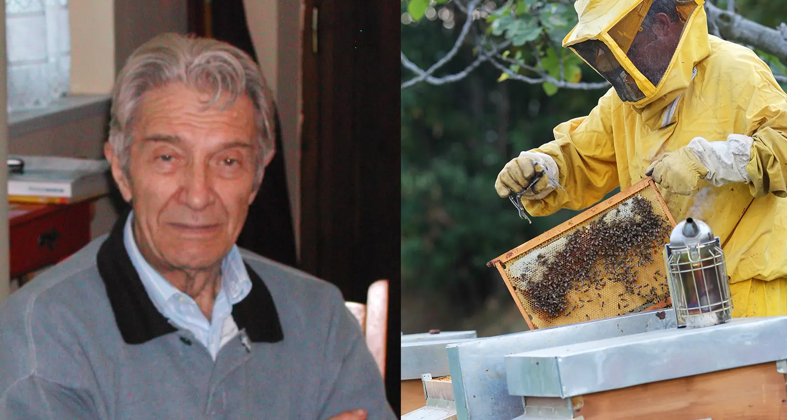 Il commendatore Mario Pasquali a Trento festeggia i suoi 100 anni trascorsi fra elettricità, api e libri