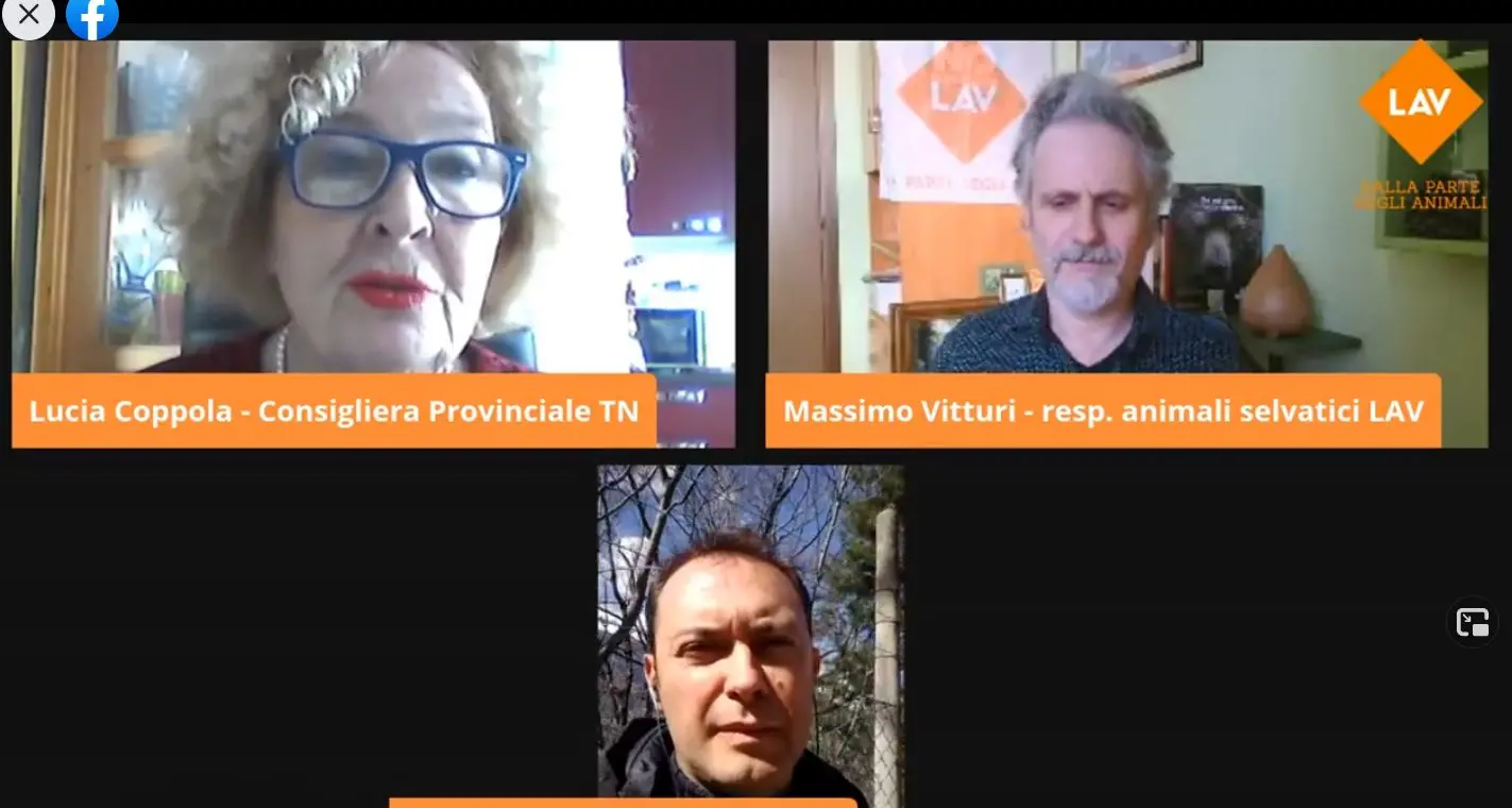 La Lav si collega in diretta dal Casteller: “Per i tre orsi 4 mila giorni di ergastolo”. Coppola: “Troppe bugie dalla Provincia”