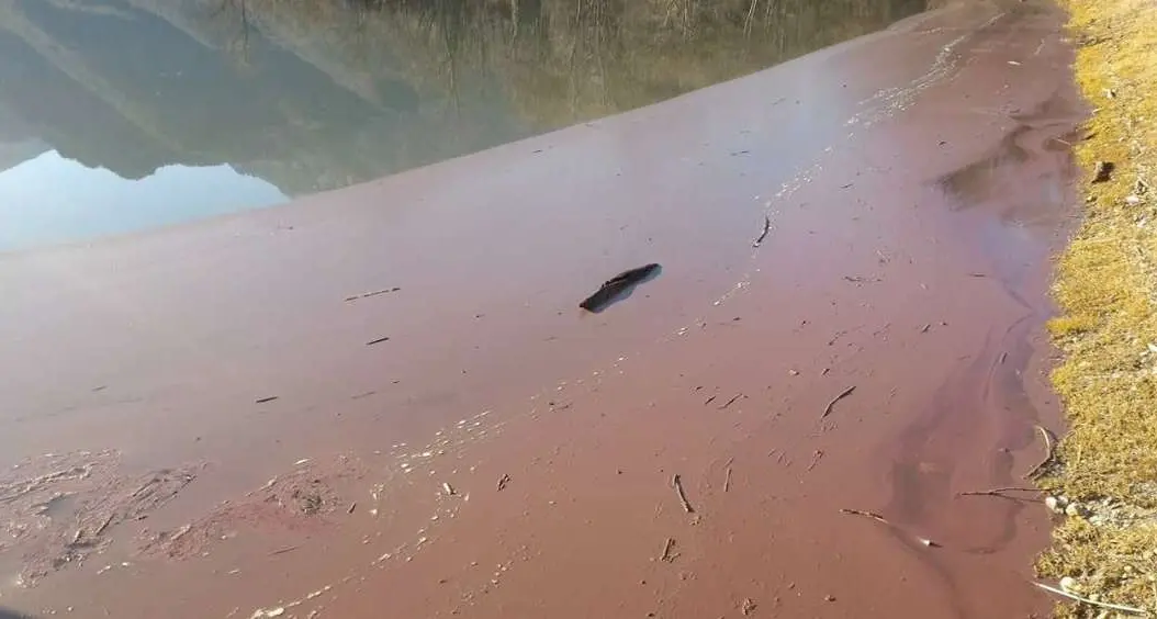 Lago di Ledro, eliminata l’alga incriminata: non sarà più colorato di rosso