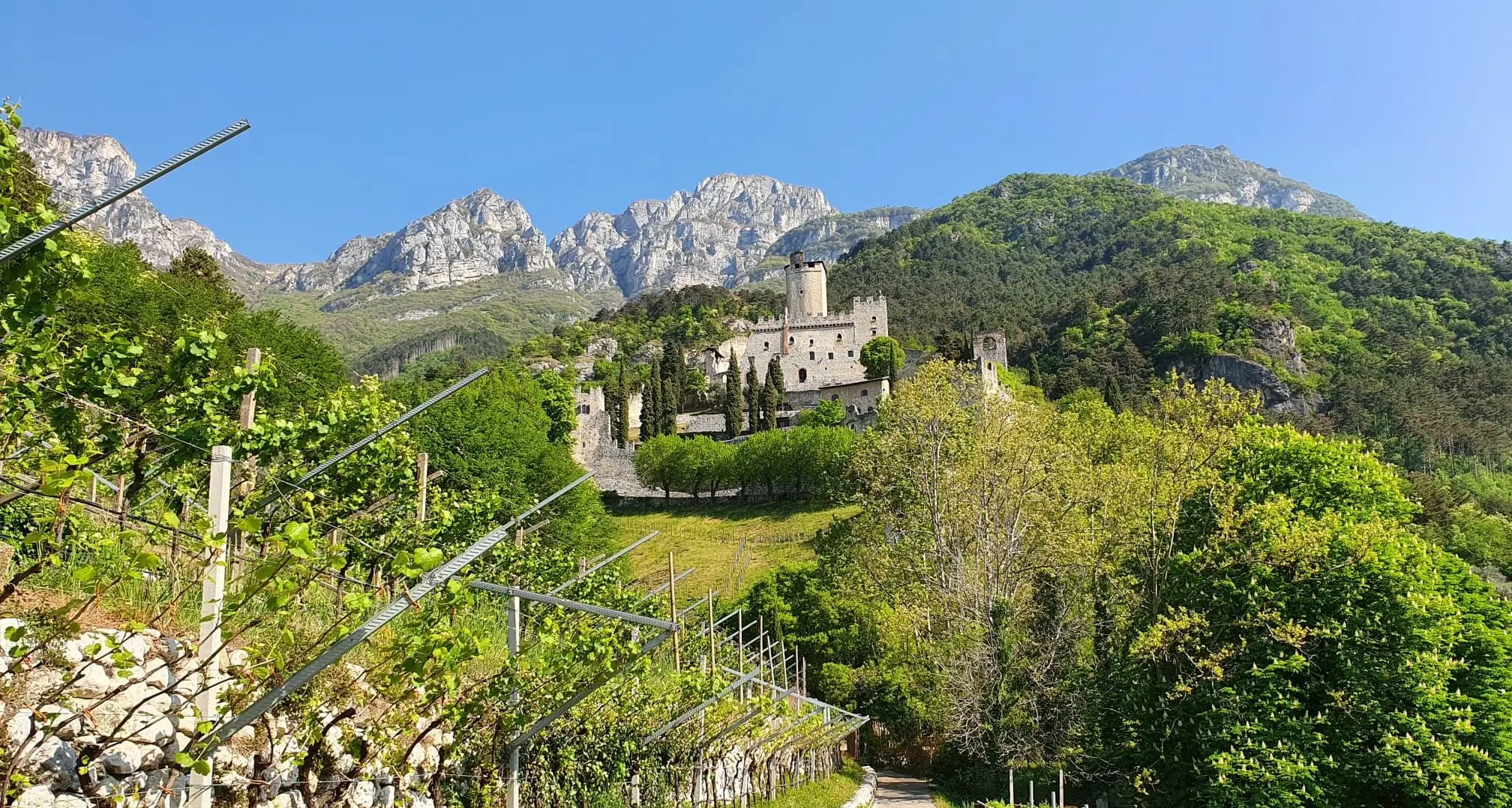 La staffetta Obiettivo Tricolore (ideata da Alex Zanardi) arriva al castello di Avio