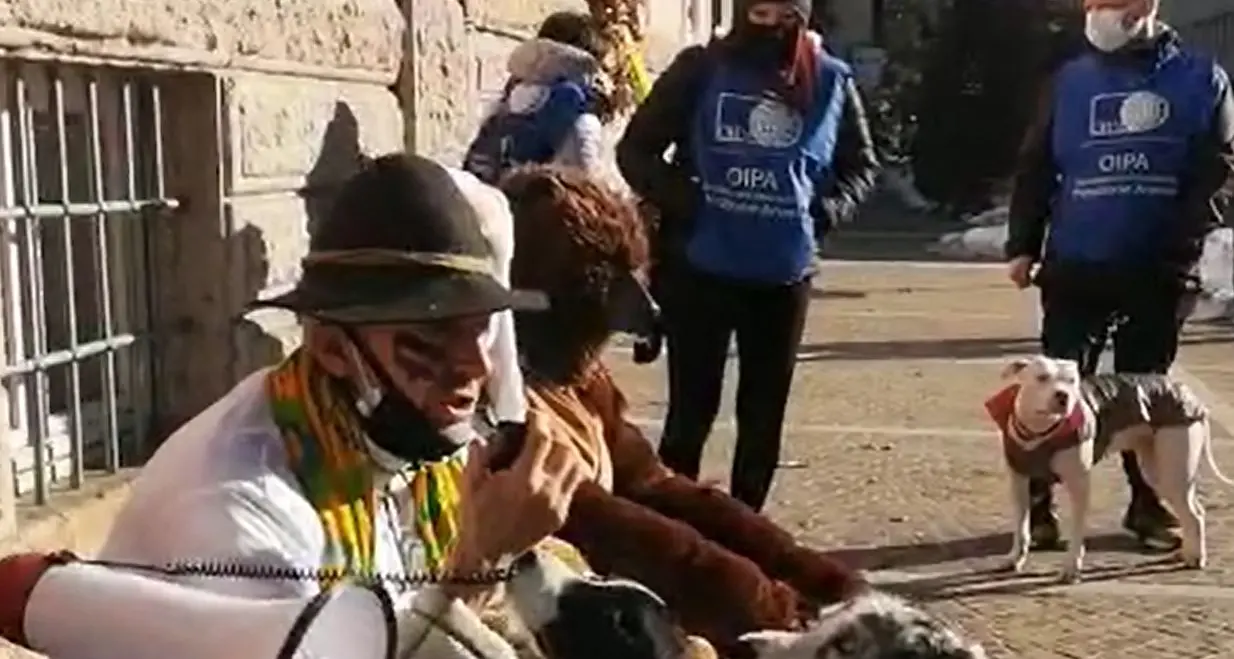 Orsi, esposto alla Corte dei Conti contro la Provincia. Oipa: “Danno erariale milionario per tenerli al Casteller”