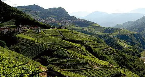 Terrazzamenti e muretti a secco in Trentino, 400 mila euro per salvarli