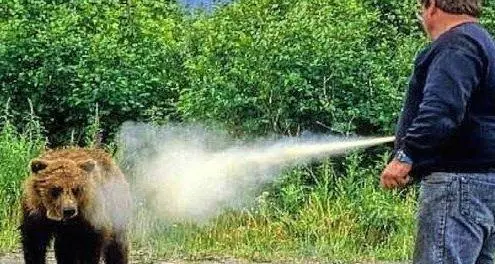 Orsi, sì del Governo allo spray al peperoncino