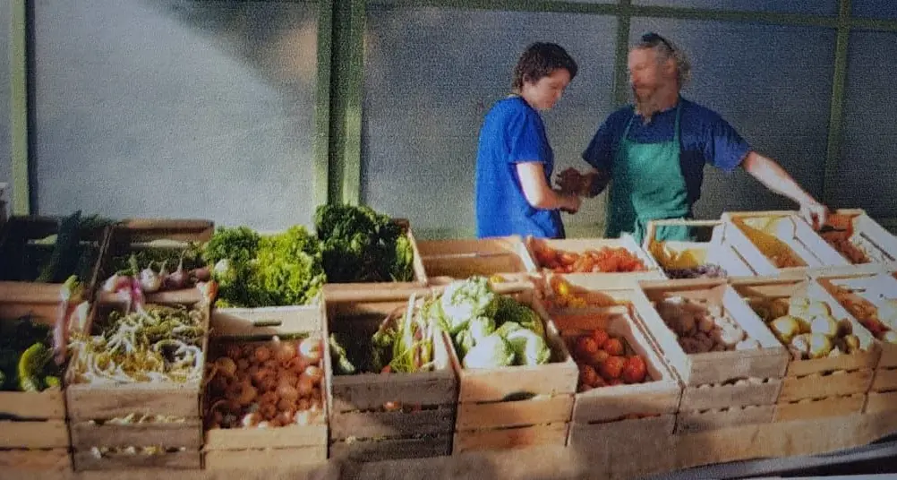 Antonio Zambotti, l’addio all’edilizia per dedicarsi all’agricoltura biologica: «Una scelta faticosa ma che rifarei»