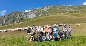 Orsi, gli sloveni in Trentino per studiare come proteggere gli animali all’alpeggio: cani da guardia e bivacchi