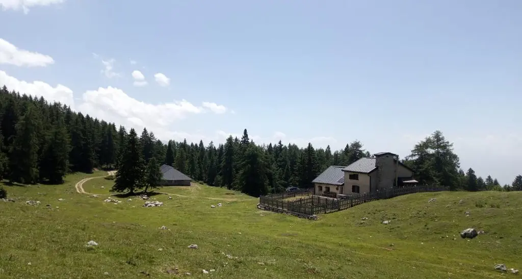 Asino sbranato sopra Besenello, forse da un lupo