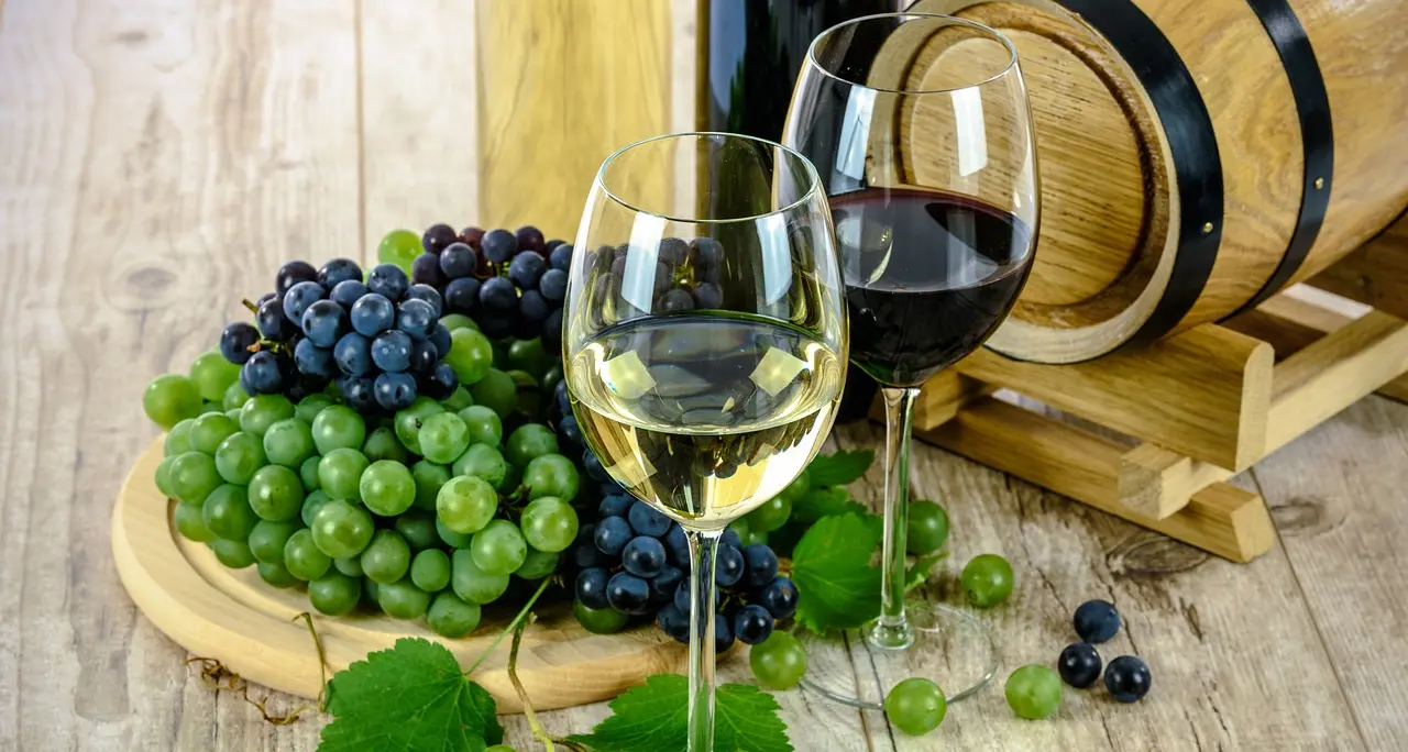 Inizia oggi ad Isera “La vigna eccellente”