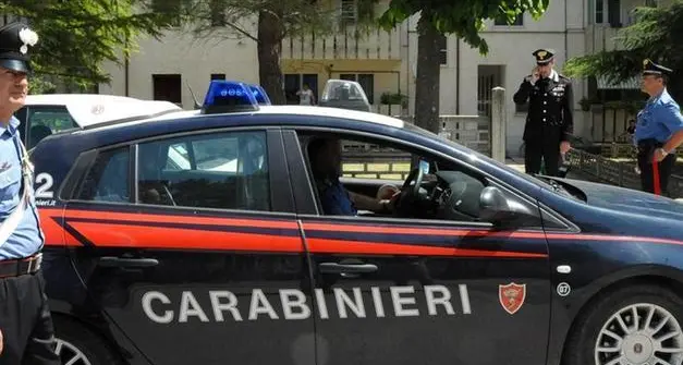 Controlli straordinari dei carabinieri a Rovereto, cinque denunce per maltrattamento